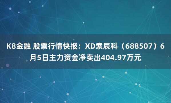 K8金融 股票行情快报：XD索辰科（688507）6月5日主力资金净卖出404.97万元