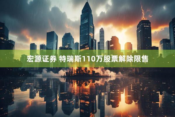 宏源证券 特瑞斯110万股票解除限售
