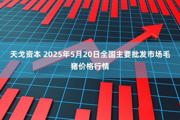 天戈资本 2025年5月20日全国主要批发市场毛猪价格行情